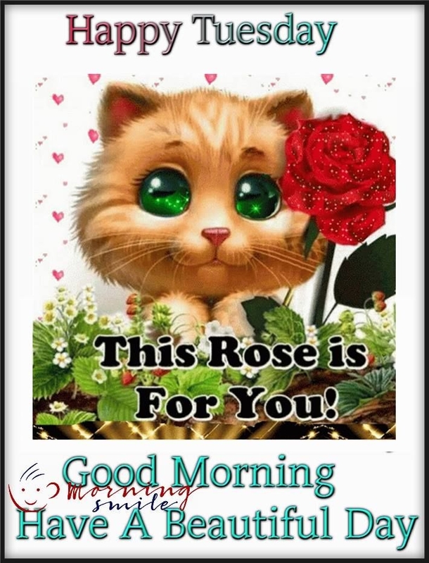 Here Are 10 Good Morning Quotes For Tuesday To Get Your Day Started - picture 10