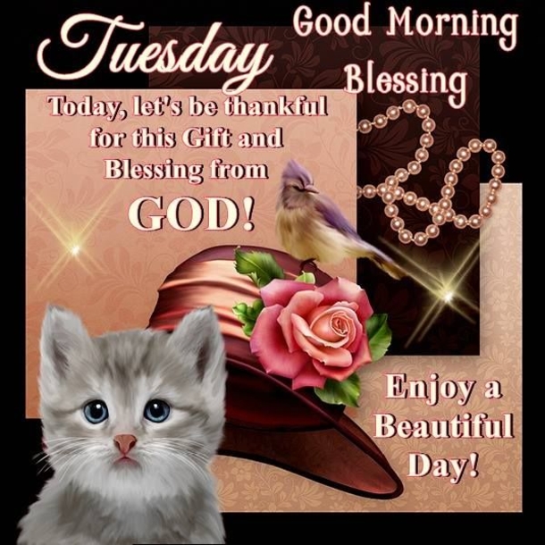 Here Are 10 Good Morning Quotes For Tuesday To Get Your Day Started - picture 12