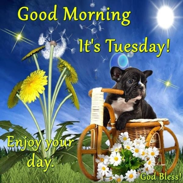 Here Are 10 Good Morning Quotes For Tuesday To Get Your Day Started - picture 4