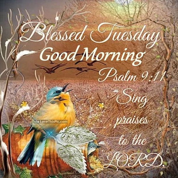 Here Are 10 Good Morning Quotes For Tuesday To Get Your Day Started - picture 5