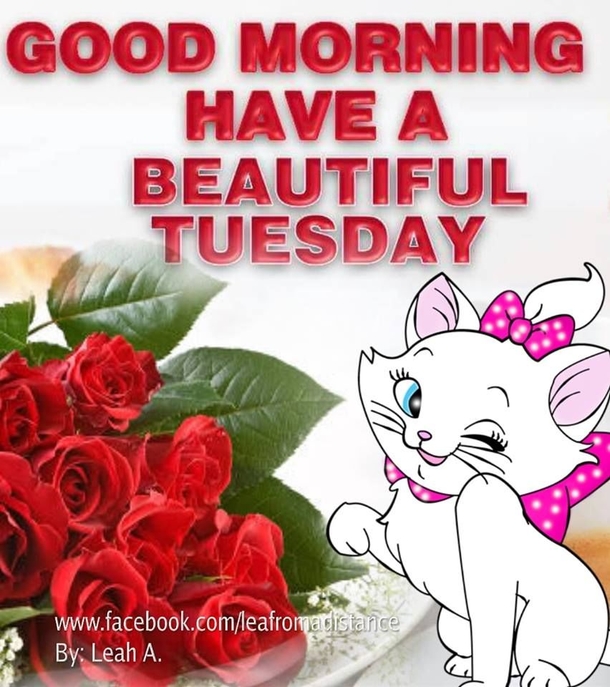 Here Are 10 Good Morning Quotes For Tuesday To Get Your Day Started - picture 8