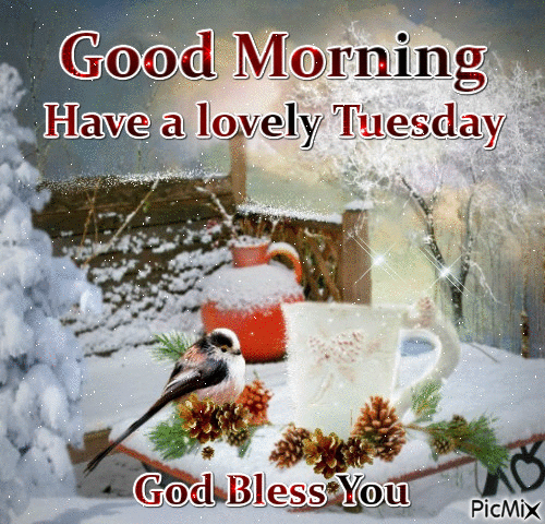 Here Are 10 Good Morning Quotes For Tuesday To Get Your Day Started - picture 9