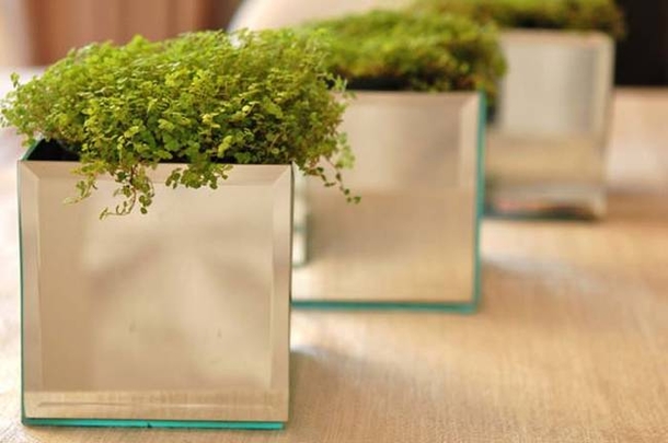 Here Are 15 Dollar Store Ideas You Never Knew You Could Craft - picture 8