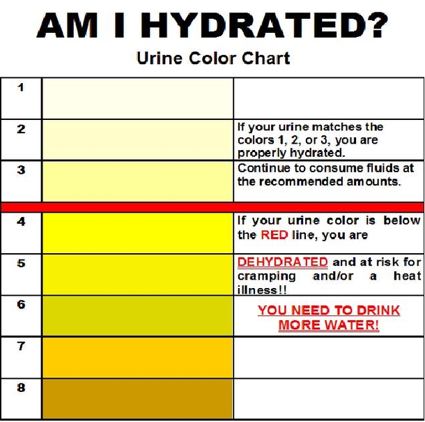 Here Are 8 Signs That You Are Not Drinking Enough Water - picture 6