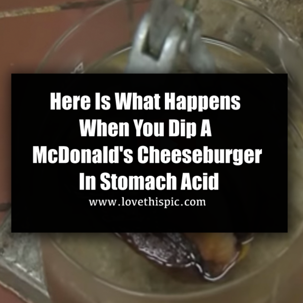 Here Is What Happens When You Dip a McDonald's Cheeseburger in Stomach Acid