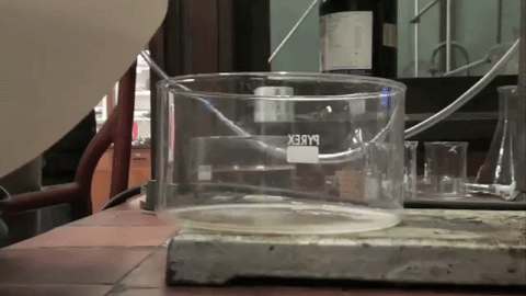 Here Is What Happens When You Dip a McDonald's Cheeseburger in Stomach Acid - picture 2