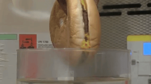 Here Is What Happens When You Dip a McDonald's Cheeseburger in Stomach Acid - picture 3