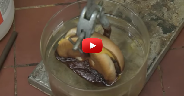 Here Is What Happens When You Dip a McDonald's Cheeseburger in Stomach Acid - picture 5