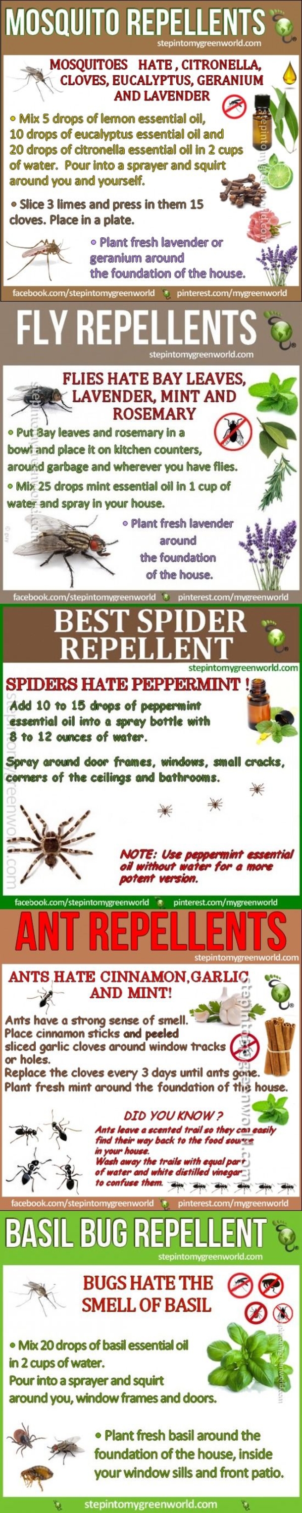 Here's A Simple And Easy Way To Save Yourself From Being Eaten Alive By Mosquitoes This Year... - picture 2