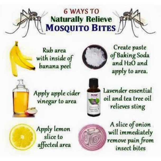 Here's A Simple And Easy Way To Save Yourself From Being Eaten Alive By Mosquitoes This Year... - picture 3