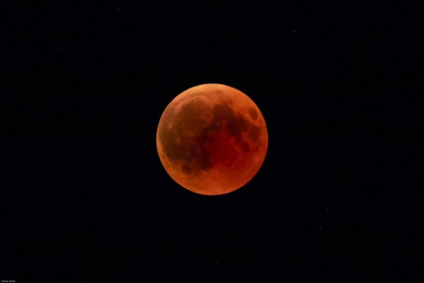 Here's Everything You Need To Know About The Super Blood Wolf Moon Coming This Month - picture 2