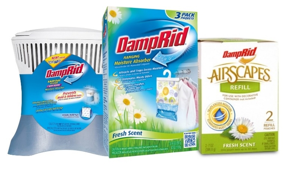 Here’s how to get rid of mold in your home and prevent it from coming back - picture 2