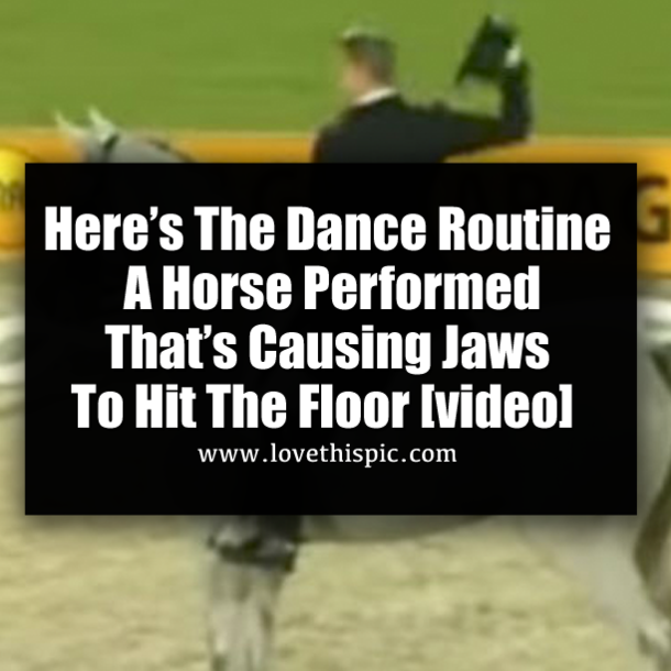 Here’s The Dance Routine A Horse Performed That’s Causing Jaws To Hit The Floor [video]