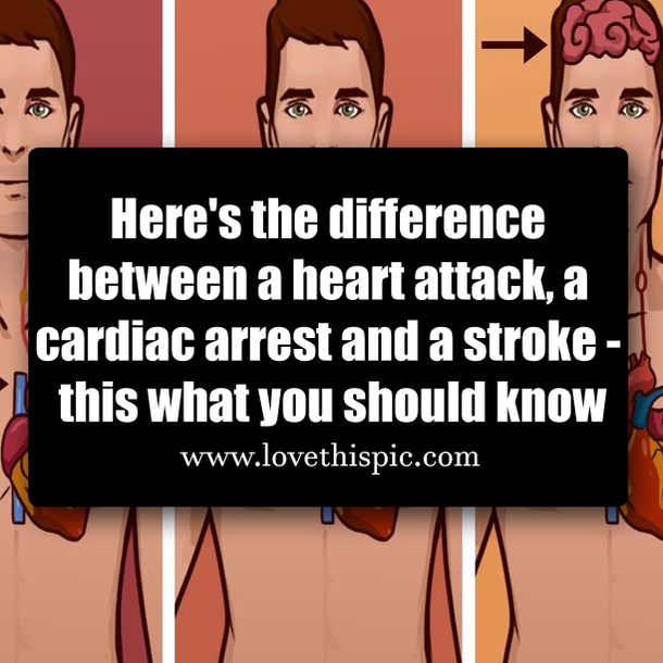 Here's the difference between a heart attack, a cardiac arrest and a stroke - this what you should know