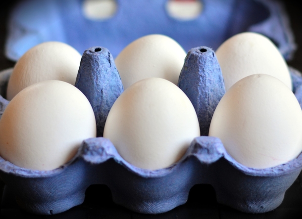 Here's The One Place Inside Your Refrigerator You Should Never Stick Your Eggs - picture 2