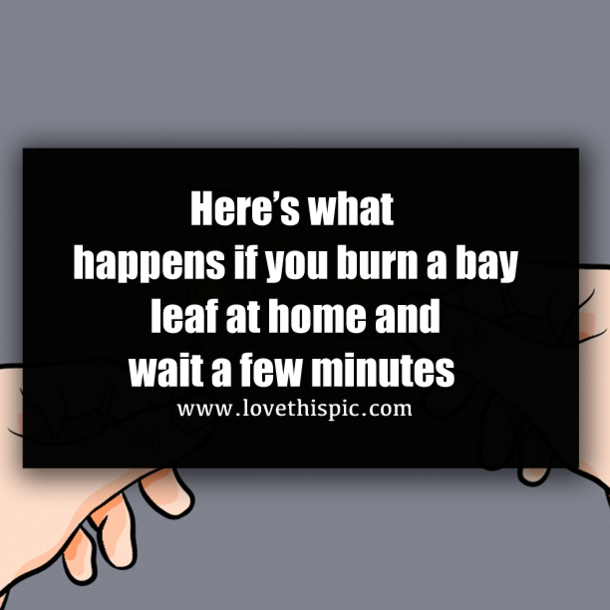 Here’s what happens if you burn a bay leaf at home and wait a few minutes