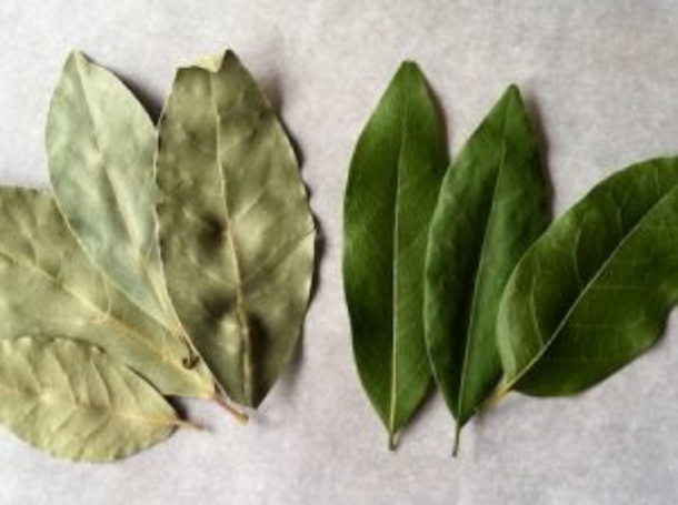 Here’s what happens if you burn a bay leaf at home and wait a few minutes - picture 3