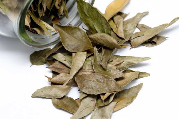 Here’s what happens if you burn a bay leaf at home and wait a few minutes - picture 4