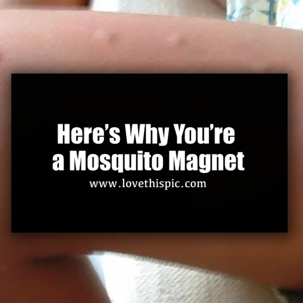 Here’s Why You’re a Mosquito Magnet