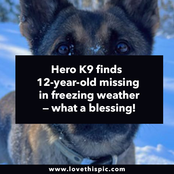 Hero K9 finds 12-year-old missing in freezing weather — what a blessing!