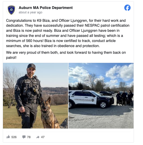 Hero K9 finds 12-year-old missing in freezing weather — what a blessing! - picture 4