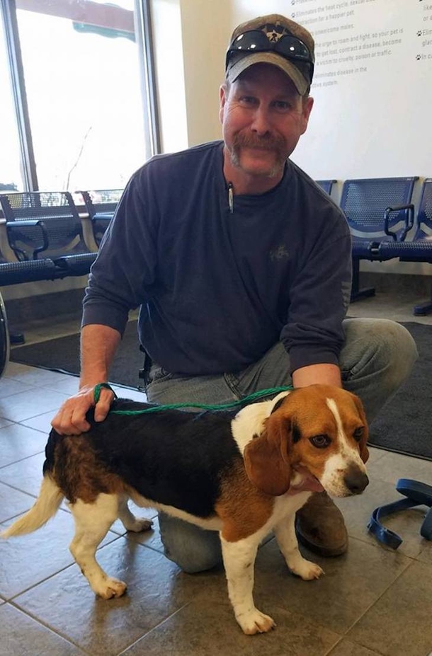 Hero Saves Dog, On The Way Home, Dog Gives Him Thank You Gesture That Goes Viral On The Internet - picture 3