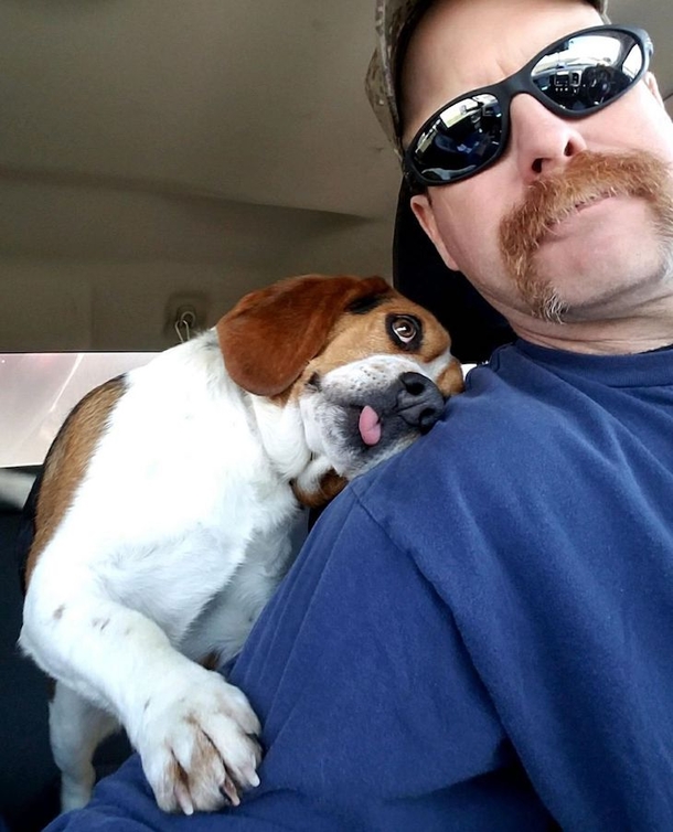 Hero Saves Dog, On The Way Home, Dog Gives Him Thank You Gesture That Goes Viral On The Internet - picture 4