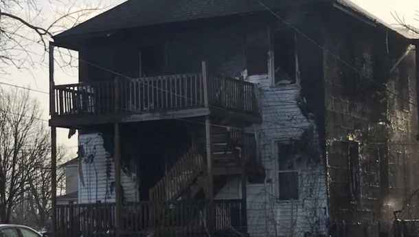 Heroic dog saves the life of a 1-year-old baby during fierce house fire - picture 2
