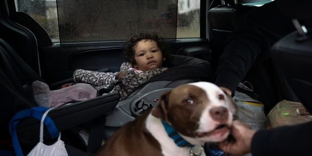 Heroic dog saves the life of a 1-year-old baby during fierce house fire - picture 3
