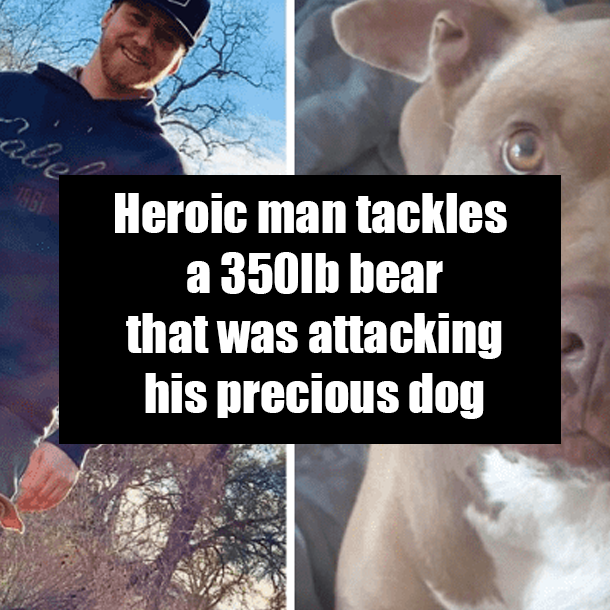 Heroic man tackles a 350lb bear that was attacking his precious dog