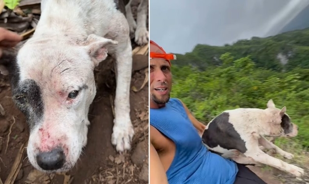 Hiker Saves Terrfied Dog Stuck 1,000 Feet Up On Dangerous Mountain Trail - picture 2