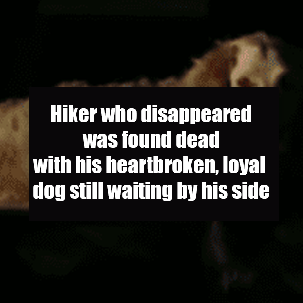 Hiker who disappeared was found dead with his heartbroken, loyal dog still waiting by his side