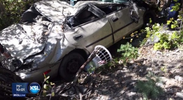 Hiking Couple Hears Whisper In The Trees, Makes Horrifying Discovery - picture 3