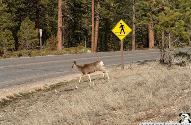 Hilarious Signs That Are Doing Their Job Right - picture 13