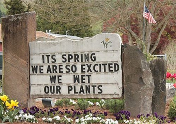 Hilarious Signs That Are Doing Their Job Right - picture 3
