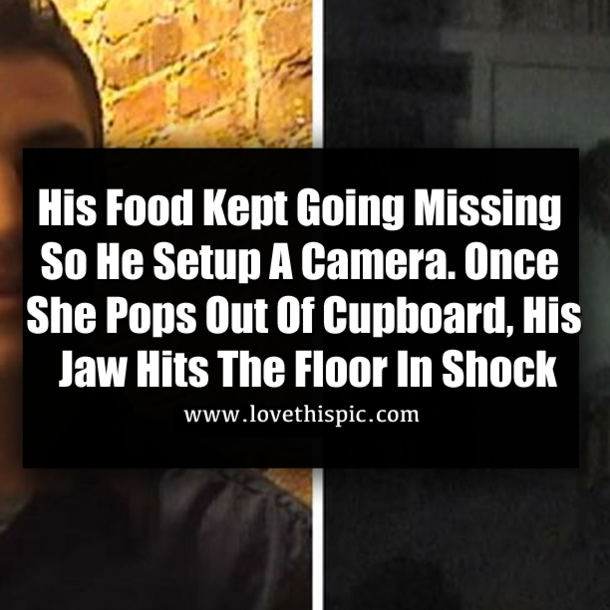 His Food Kept Going Missing So He Setup A Camera. Once She Pops Out Of Cupboard, His Jaw Hits The Floor In Shock