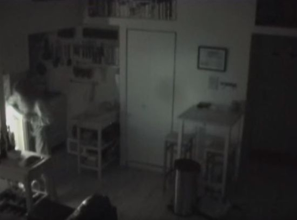 His Food Kept Going Missing So He Setup A Camera. Once She Pops Out Of Cupboard, His Jaw Hits The Floor In Shock - picture 4