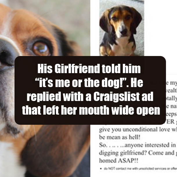 His Girlfriend told him “it’s me or the dog!”. He replied with a Craigslist ad that left her mouth wide open