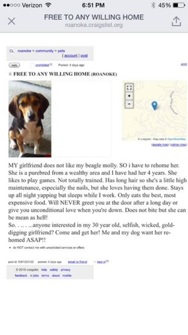 His Girlfriend told him “it’s me or the dog!”. He replied with a Craigslist ad that left her mouth wide open - picture 2