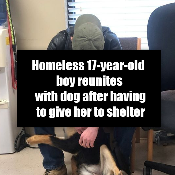 Homeless 17-year-old boy reunites with dog after having to give her to shelter