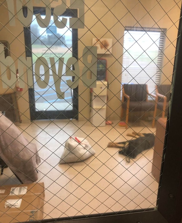 Homeless 17-year-old boy reunites with dog after having to give her to shelter - picture 2
