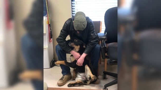 Homeless 17-year-old boy reunites with dog after having to give her to shelter - picture 3
