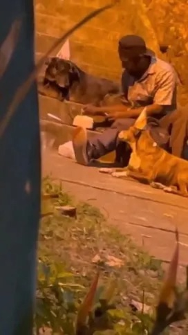 Homeless man has gone viral for throwing birthday party for his dog, the special moment leads them to a better life - picture 2