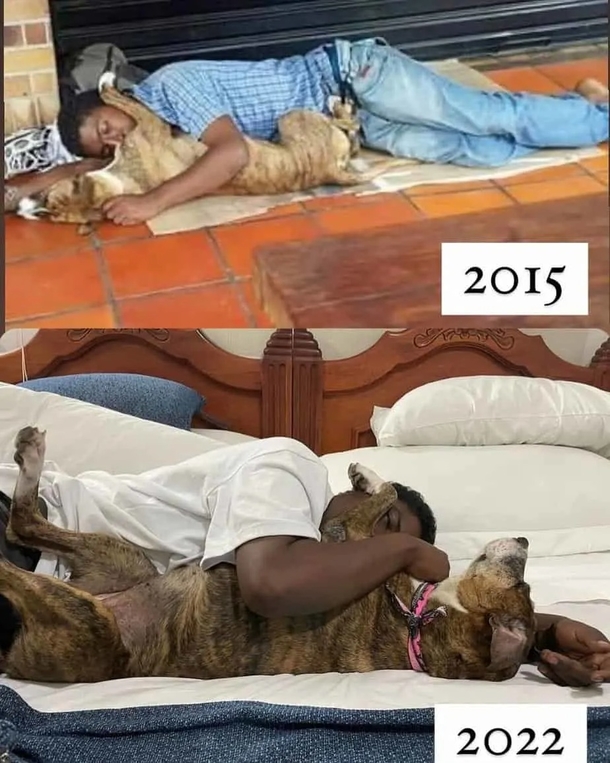 Homeless man has gone viral for throwing birthday party for his dog, the special moment leads them to a better life - picture 6