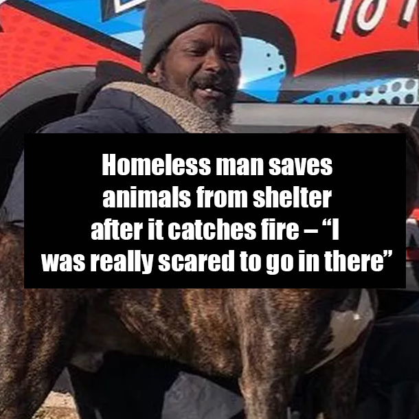 Homeless man saves animals from shelter after it catches fire – “I was really scared to go in there”
