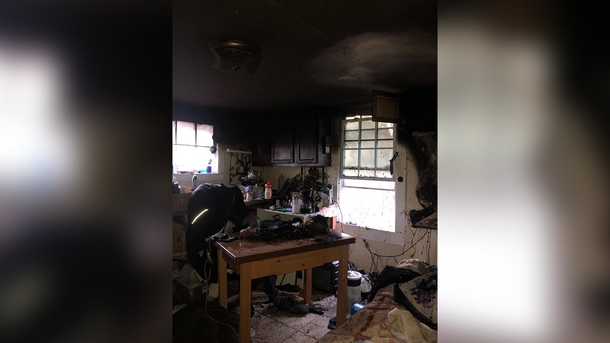 Homeless man saves animals from shelter after it catches fire – “I was really scared to go in there” - picture 3