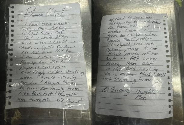 Homeless Man Saves Puppies, Leaves Them At Shelter With Important Note - picture 3