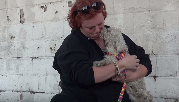 Homeless poodle’s heart wrenching response to being rescued has everyone in tears - picture 3