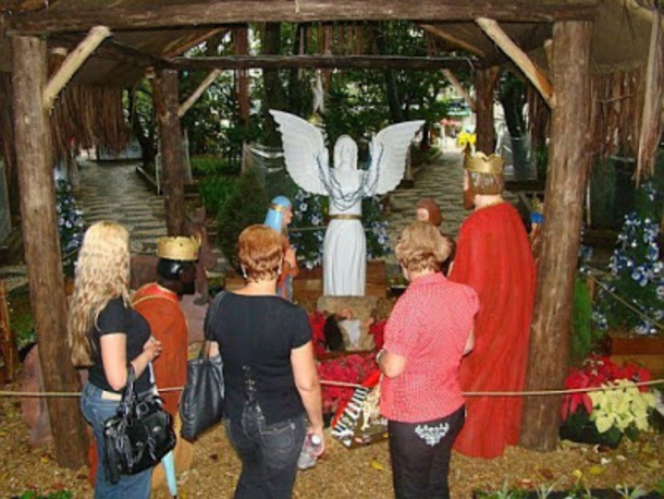 Homeless Puppy, Freezing & Alone, Lays With Baby Jesus At Nativity Scene In A Moment That Seems Like A Miracle - picture 3