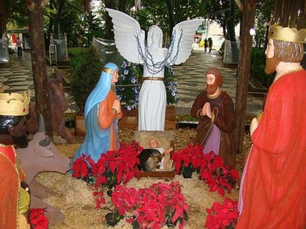 Homeless Puppy, Freezing & Alone, Lays With Baby Jesus At Nativity Scene In A Moment That Seems Like A Miracle - picture 4